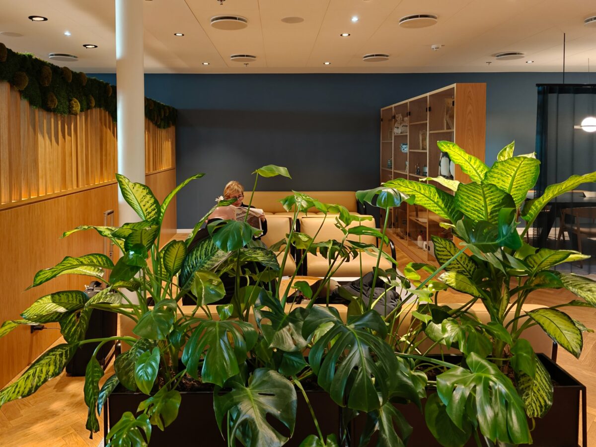 Aviator Business Lounge, Copenhague : le lounge le plus sain au monde ?